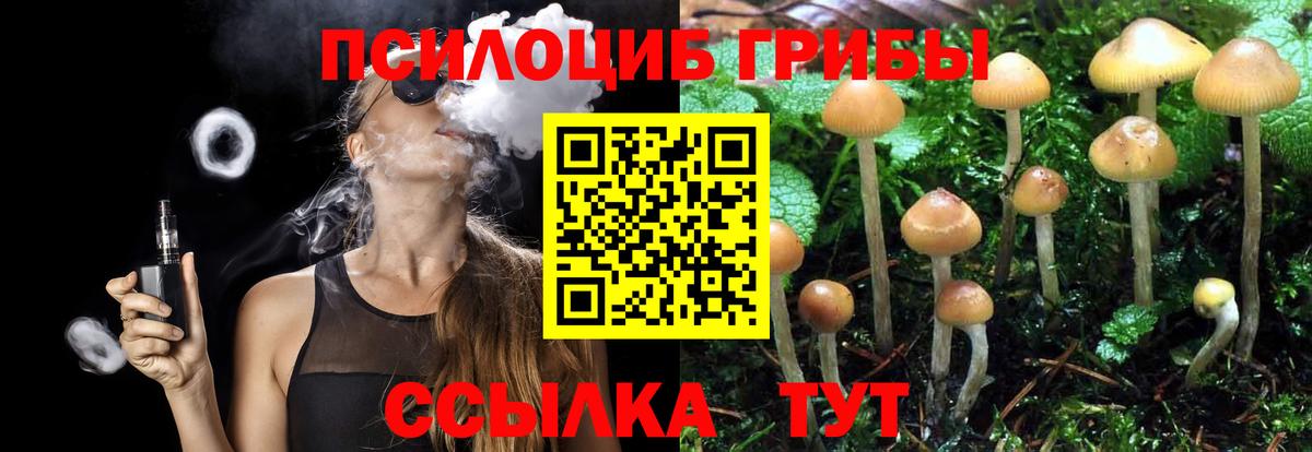 Псилоцибиновые грибы ЛСД Павлово
